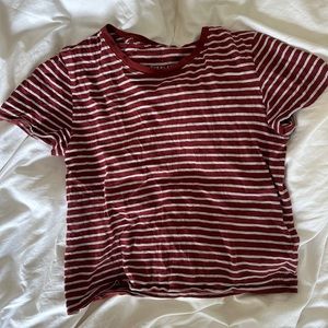 Everlane Cotton T-Shirt